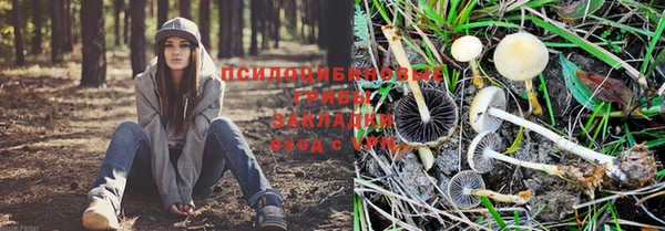 скорость Покров