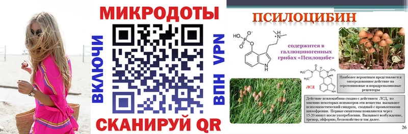 Псилоцибиновые грибы Psilocybe  Гдов 